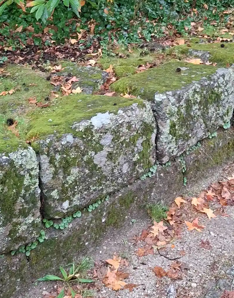 18 Things To Do In Guimaraes 2 1