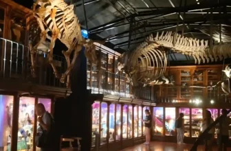 Things To Do In Coimbra