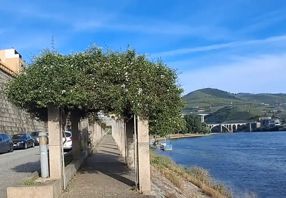 Things To Do In Regua and Pinhao, Douro Valley 14 Things To Do In Regua and Pinhao Douro Valley 7