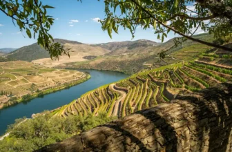Things To Do In Regua and Pinhao, Douro Valley