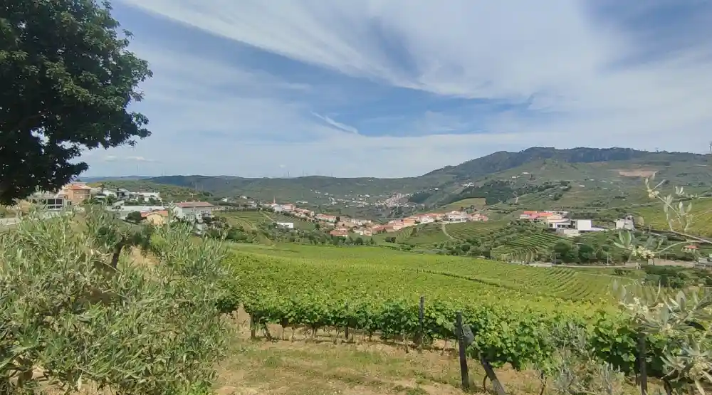 Things To Do in Lamego portugal 10