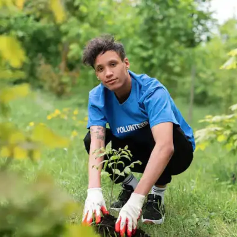 Volunteering Team Building Activities Ideas