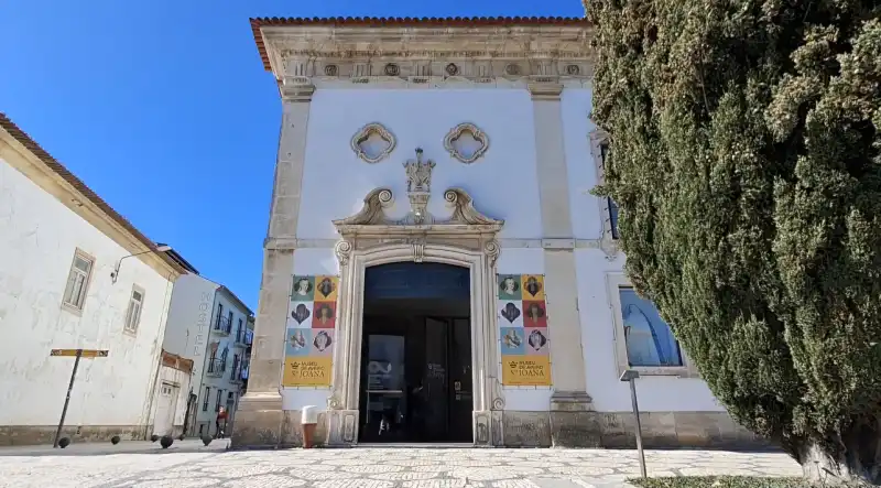 16 Things To Do In Aveiro 5 things to do in Aveiro
