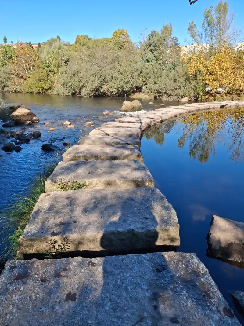 things to do in amarante 5