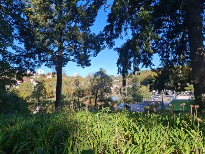 things to do in amarante 6