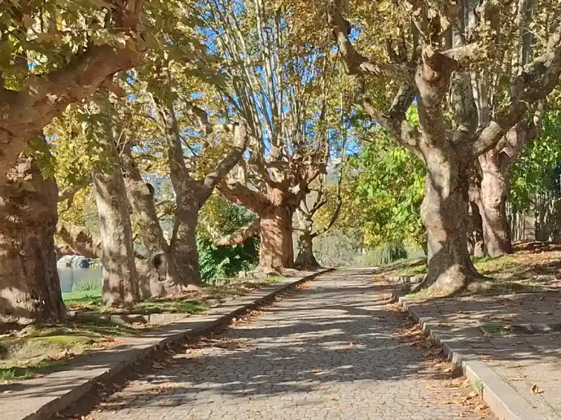 things to do in amarante 8