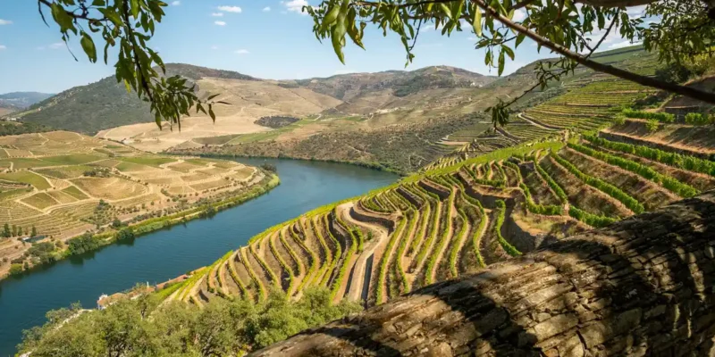 Things To Do In Regua and Pinhao, Douro Valley
